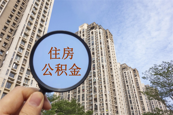 栖霞离职可以取出公积金吗（离职可以取公积金嘛）